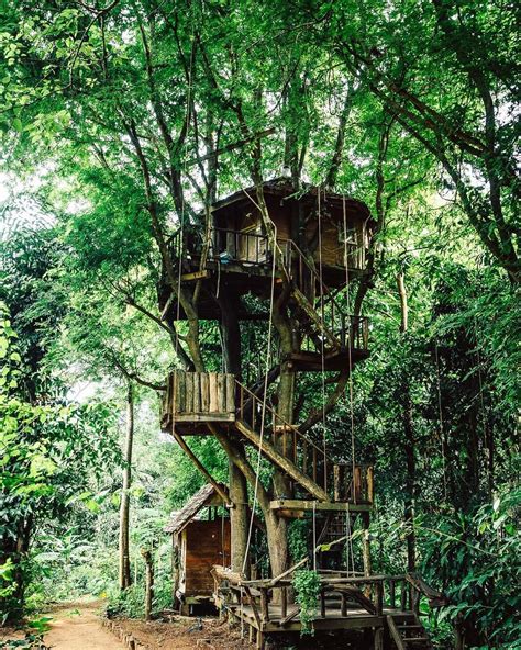 Blending Fantasy and Reality: The Magic of Audio in a Treehouse Setting